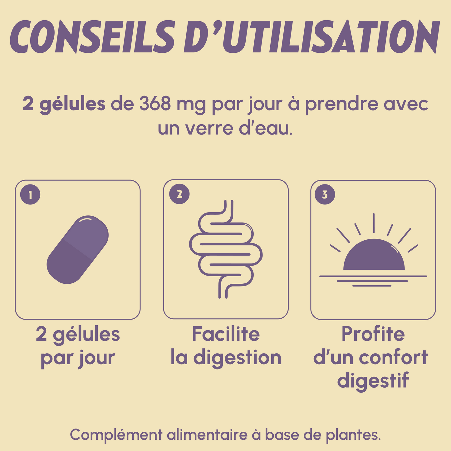 Coffret Digestion parfaite (3 mois) + Tote Bag