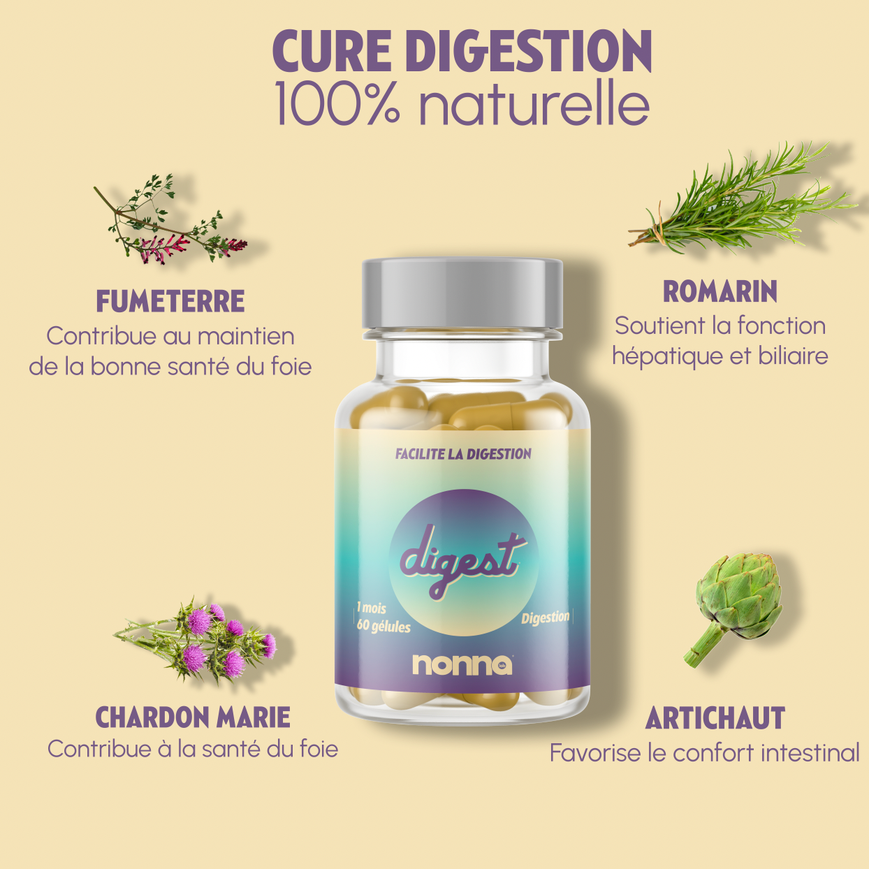 DIGEST - Cure Digestion