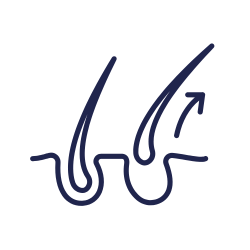 Lorem Ipsum
